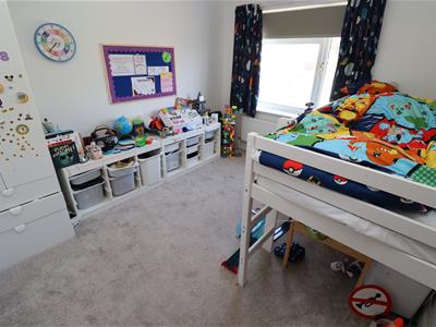 Picture 14